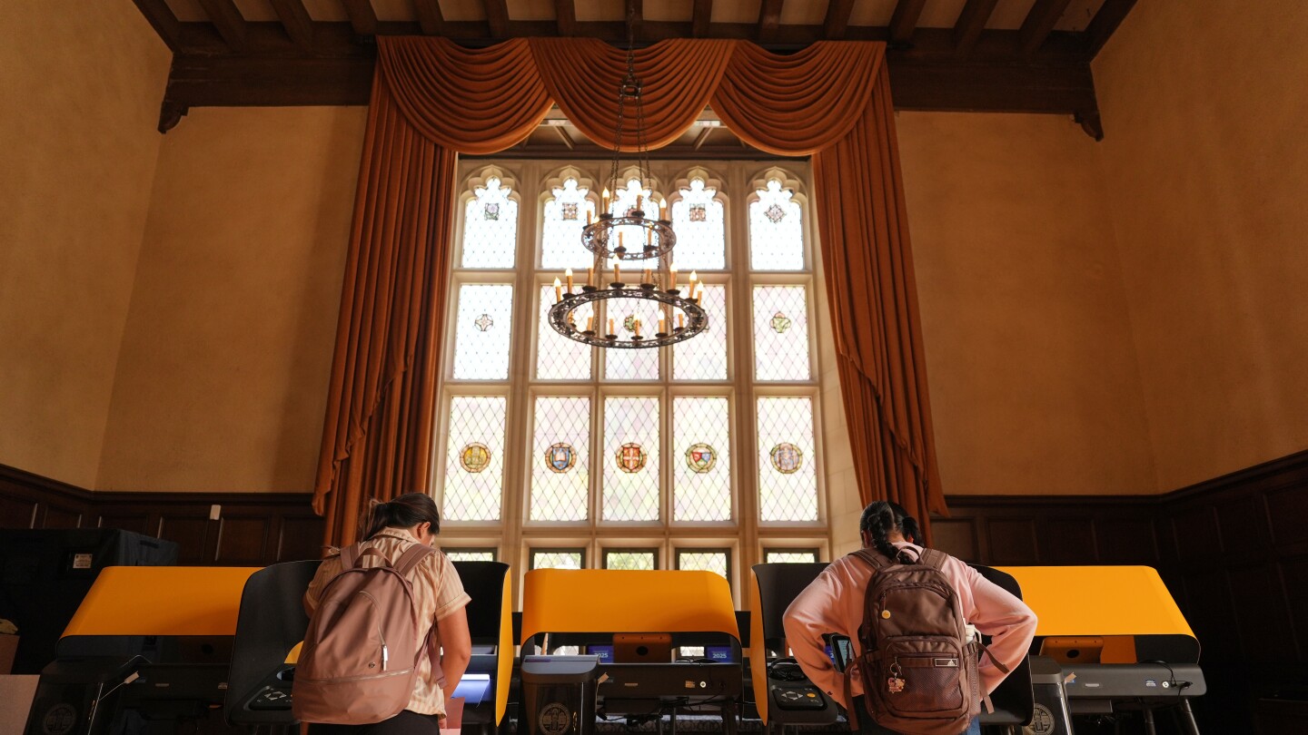 fact-focus:-it-is-not-illegal-for-voters-to-show-id-in-new-york-and-california