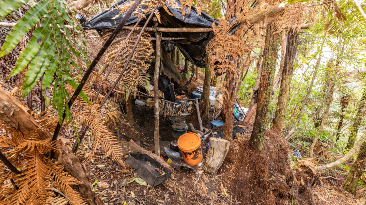 new-zealand-launches-major-inquiry-into-case-of-father-who-hid-his-children-in-a-forest-for-years