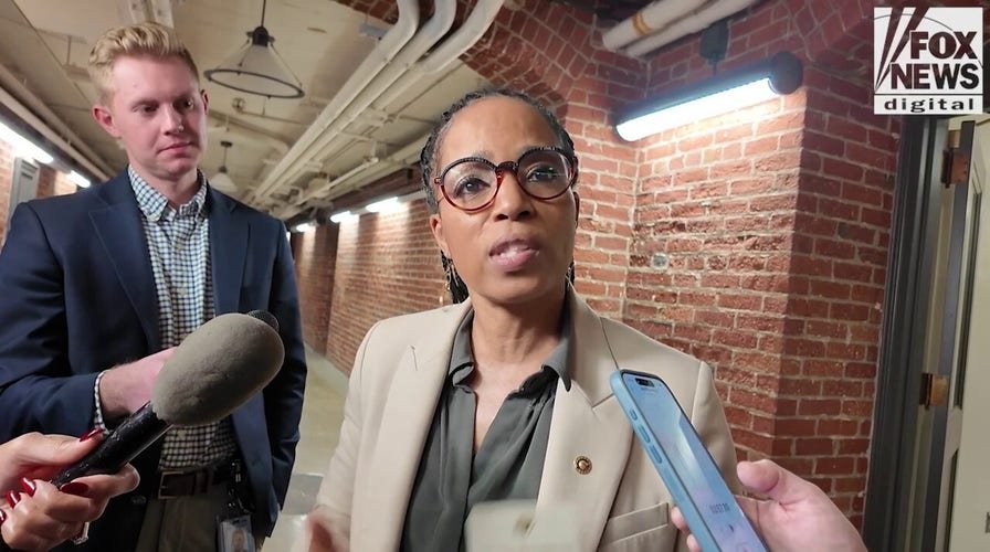 Dems attempt to explain why stock market booming despite Trump tariffs