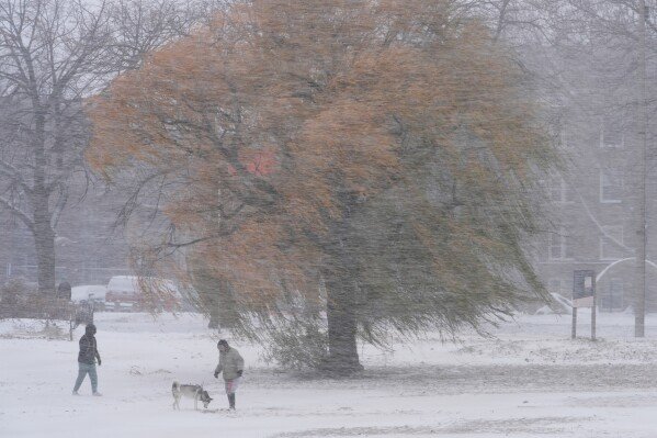 A couple walk their dog on a beach in the snow Saturday, Nov. 29, 2025, in Chicago. (AP Photo/Kiichiro Sato)