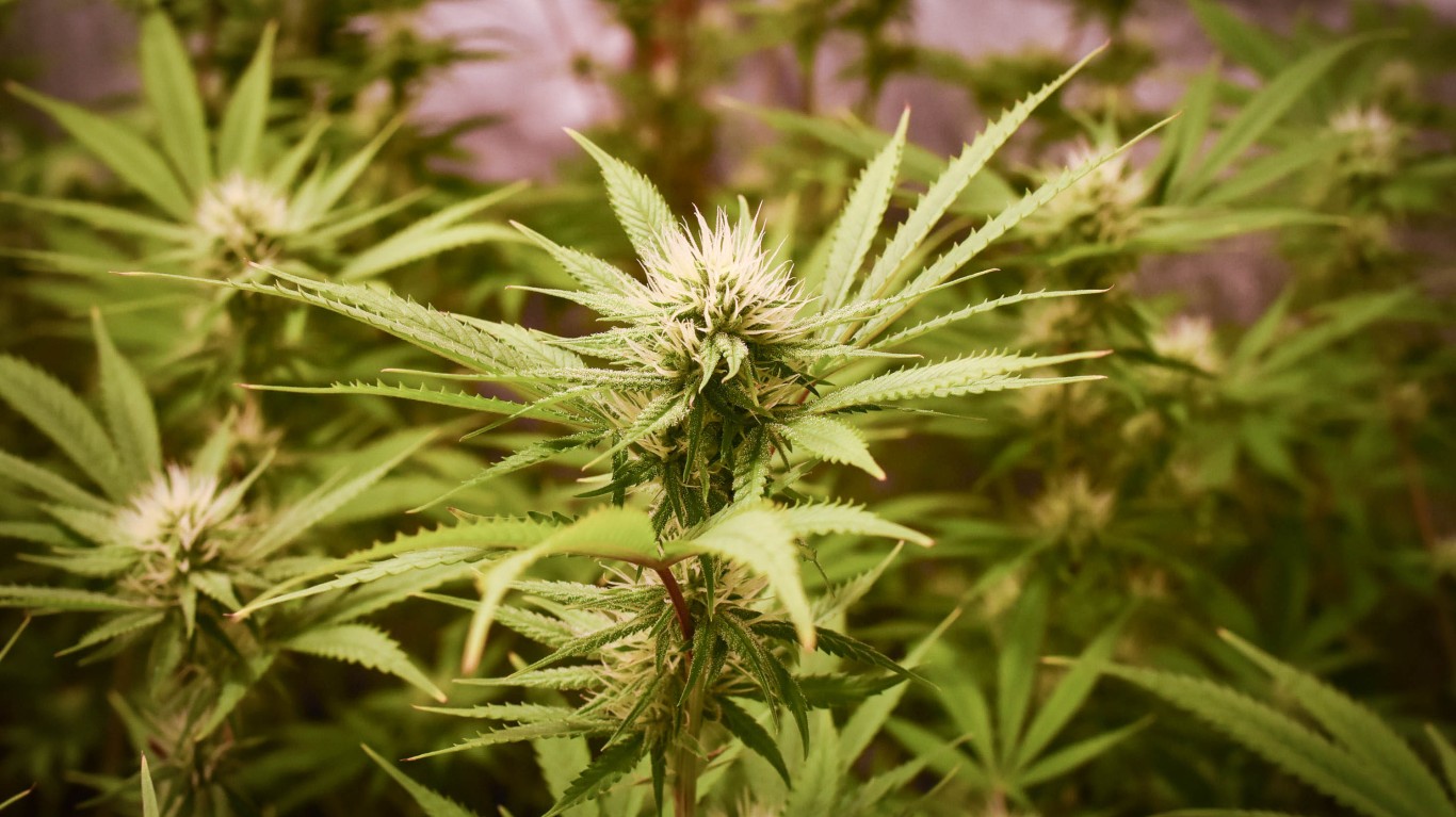 stock-market-live-december-12:-trump-to-ease-marijuana-regulation,-s&p-500-(voo)-flat