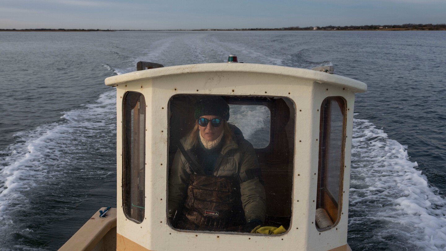 from-hoops-to-oysters:-inside-the-unexpected-second-acts-of-wnba-stars