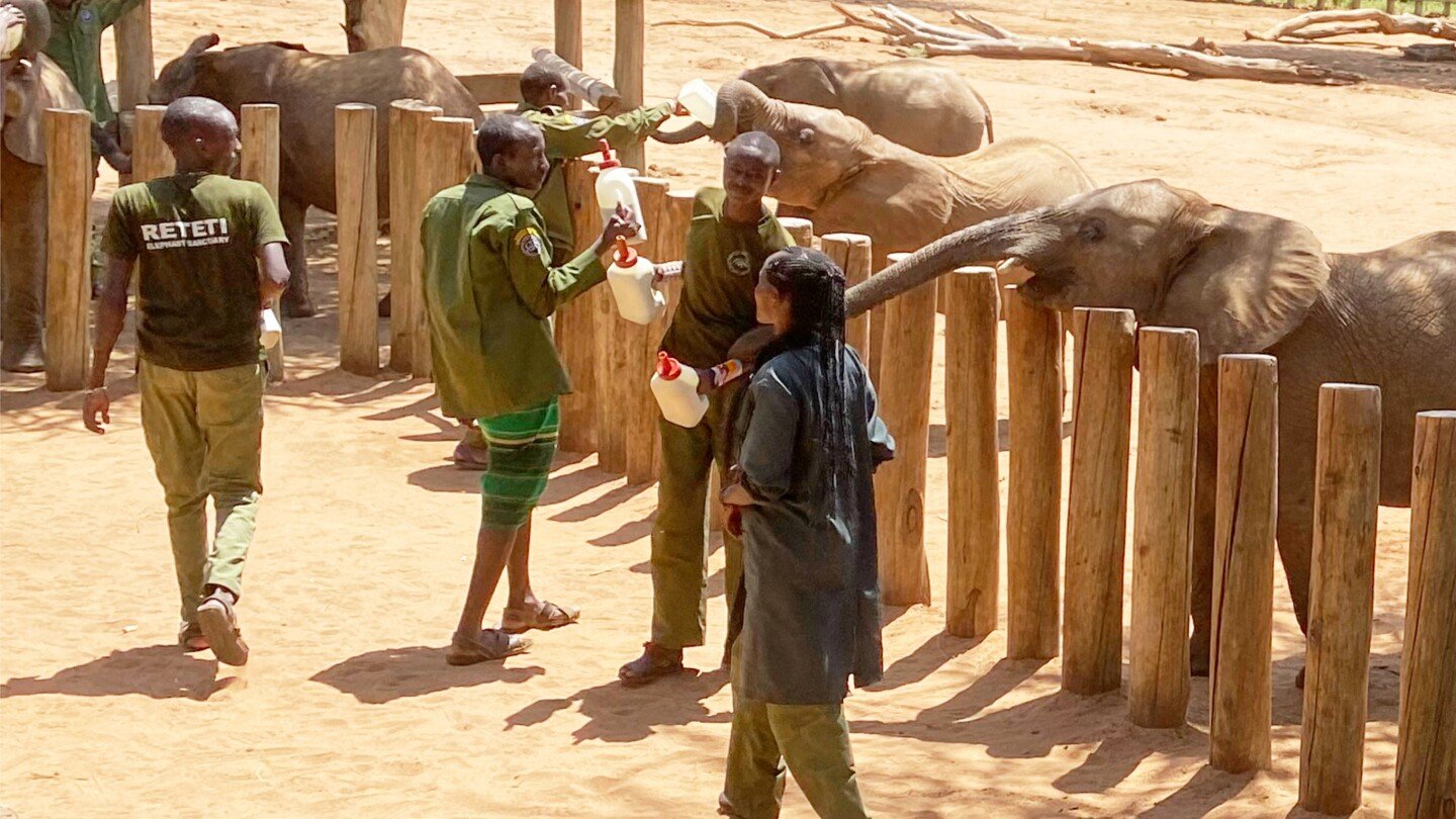 elephant-orphans-goat’s-milk.-this-safari-reveals-the-impact-of-wildlife-conservation-in-kenya