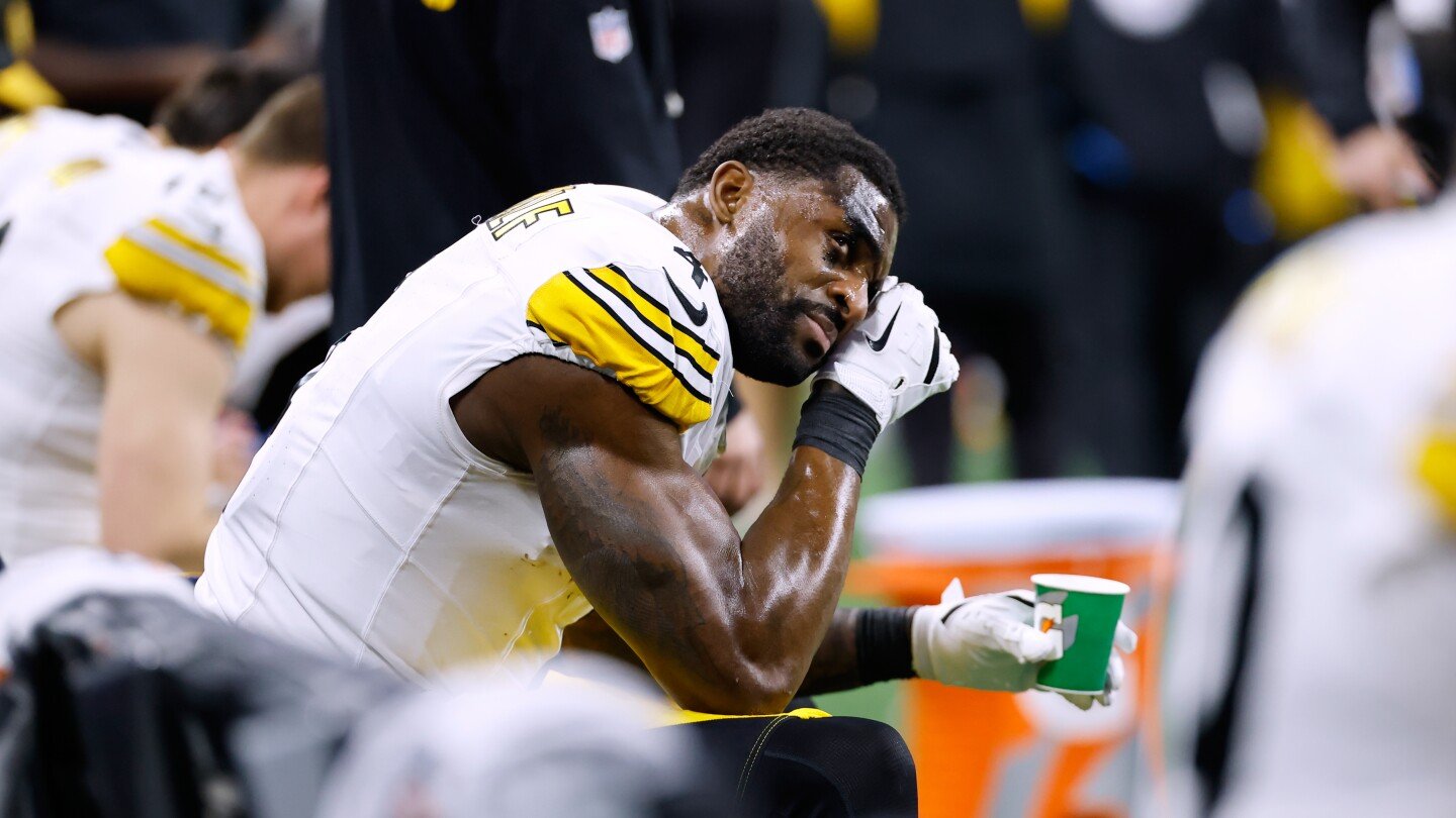 steelers-coach-mike-tomlin-says-he-supports-suspended-wide-receiver-dk-metcalf-after-fan-incident