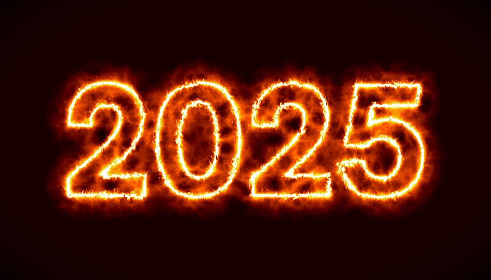 these-were-the-hottest-s&p-500-stocks-of-the-year