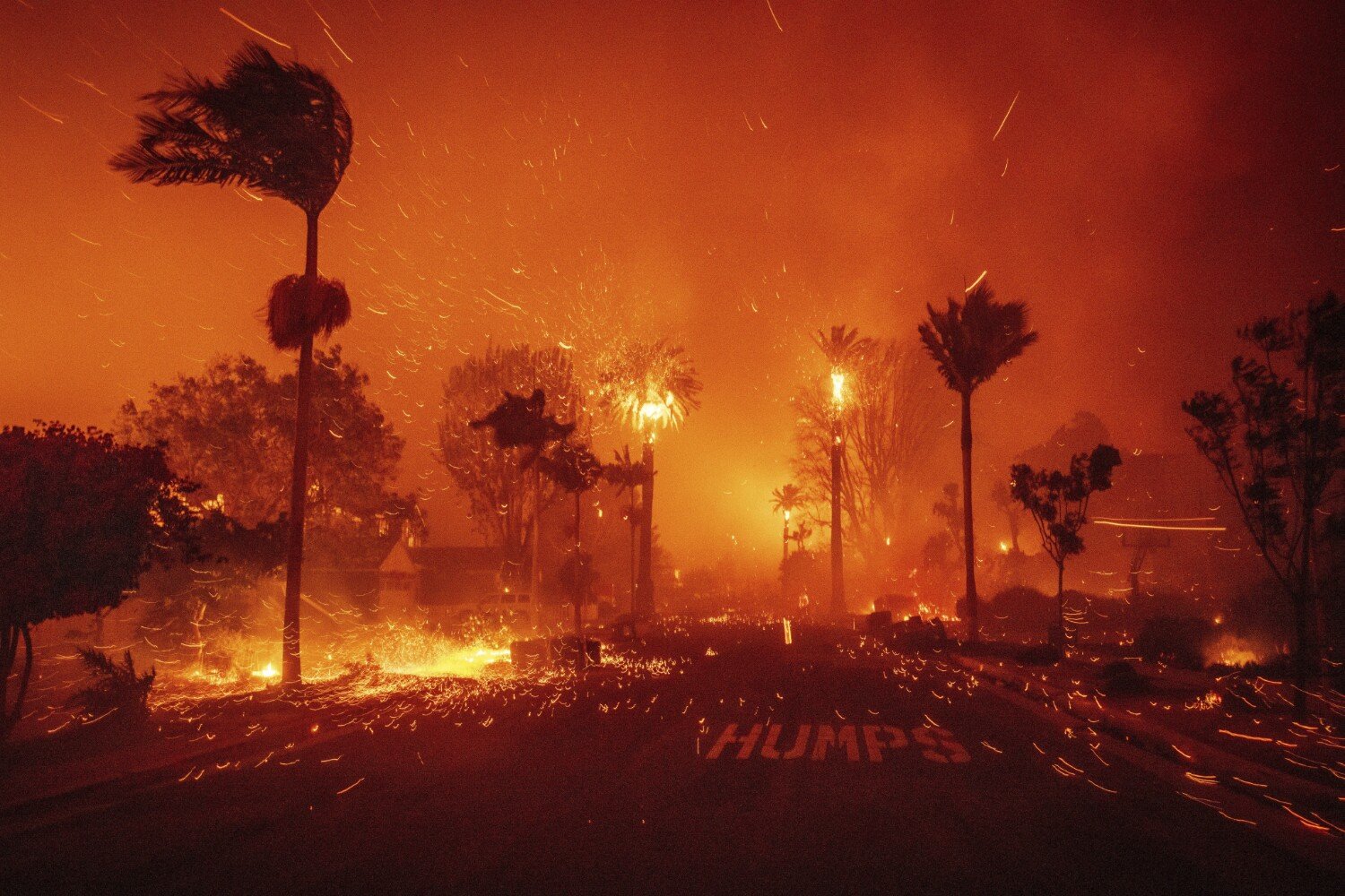 palms burn