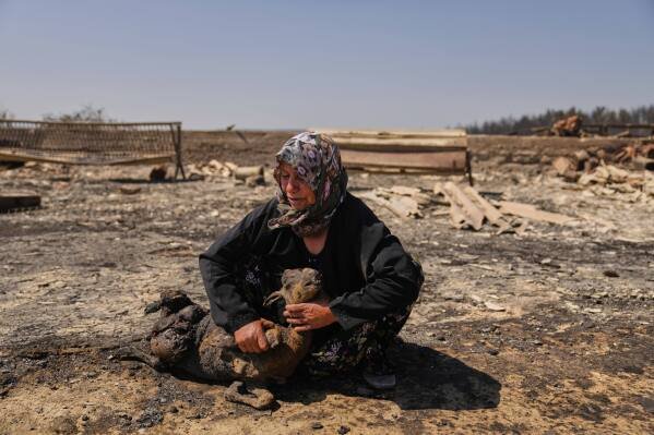 Farmer Turkan Ozkan, 64, cries next to one of her animals killed during a fire in Guzelyeli, on the outskirts of Canakkale, northwest Turkey, on Aug. 12, 2025. (AP Photo/Khalil Hamra)