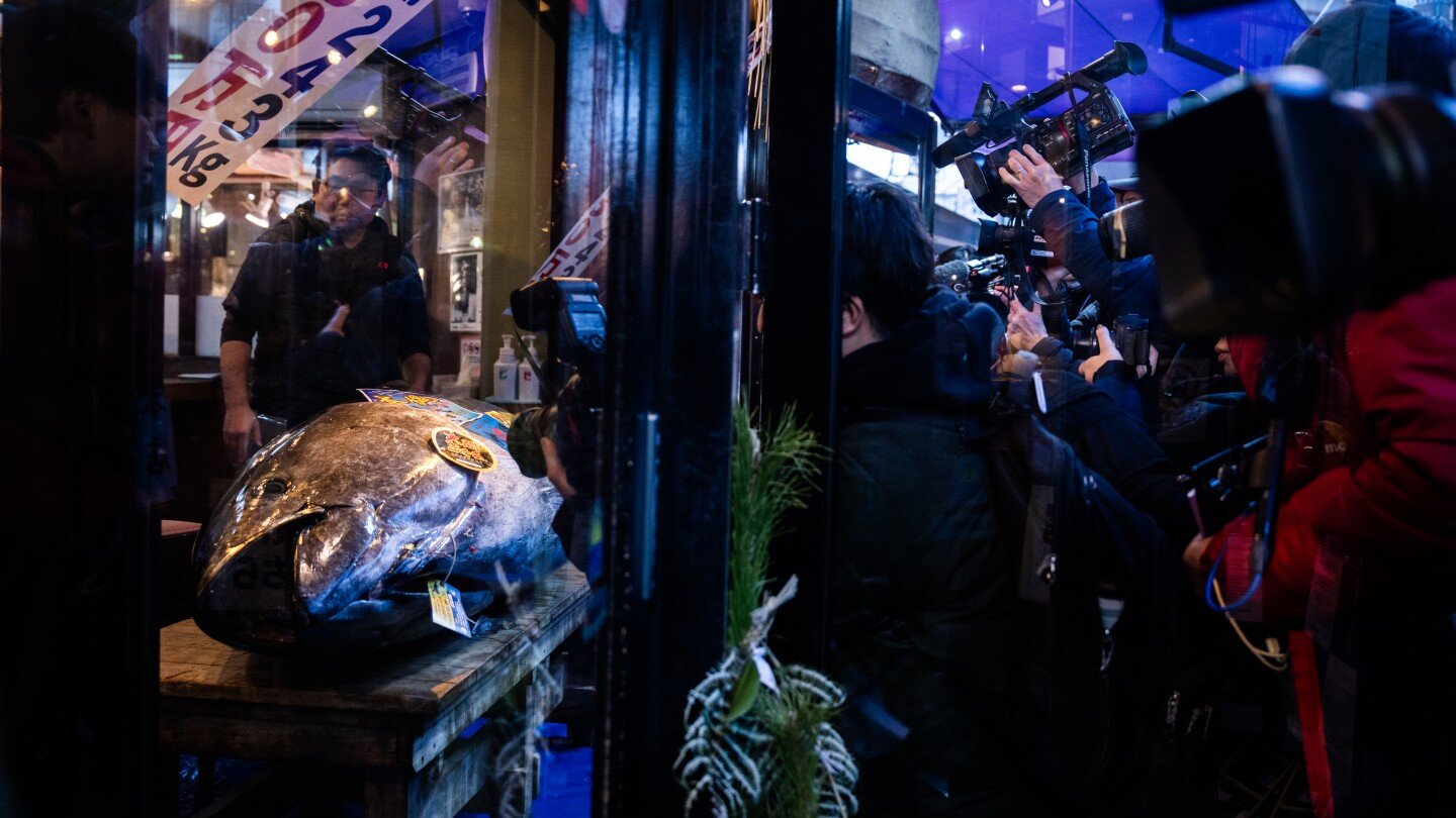 bluefin-tuna-sells-for-record-$3.2-million-at-year-opening-auction-at-tokyo-fish-market