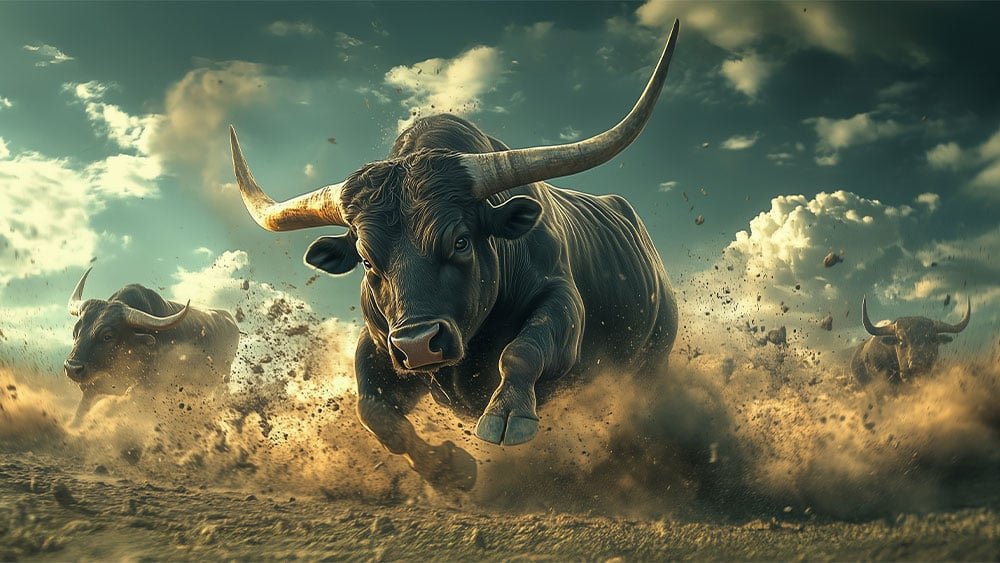 s&p-500-hits-high;-amazon-leads-seven-new-buys