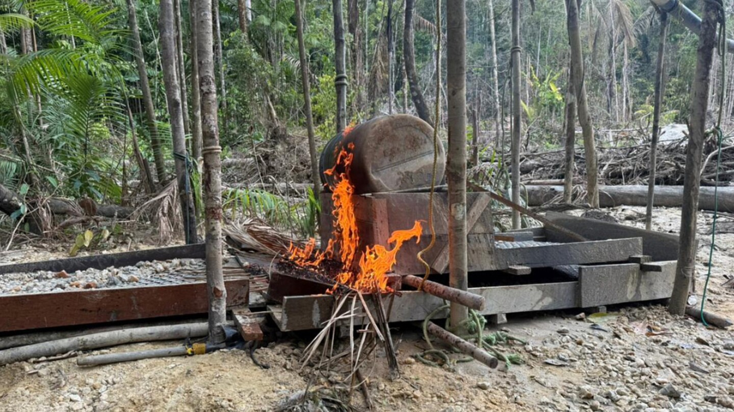 interpol-backed-police-make-nearly-200-arrests-in-amazon-region-gold-mining-sweep
