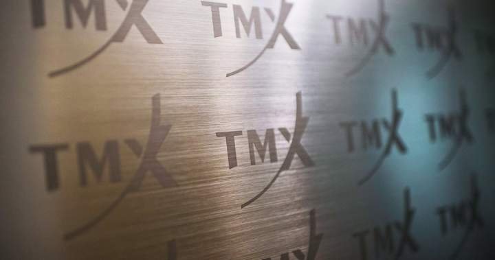toronto-stock-exchange-plunges-due-to-massive-precious-metals-sell-off
