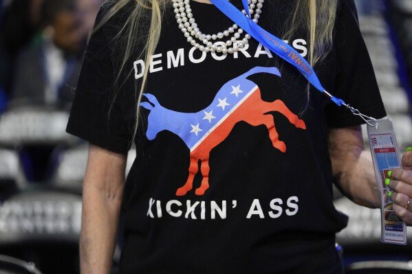 FILE - A person wears a T-shirt during the Democratic National Convention Aug. 19, 2024, in Chicago. (AP Photo/Paul Sancya)