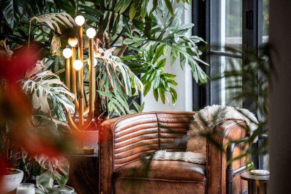 how-to-create-a-calming-‘nature-nook’-with-indoor-plants.-advice-from-hilton-carter
