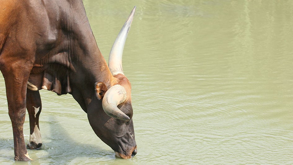 market-pauses-before-jobs-data;-ai-fears-hit-these-stocks