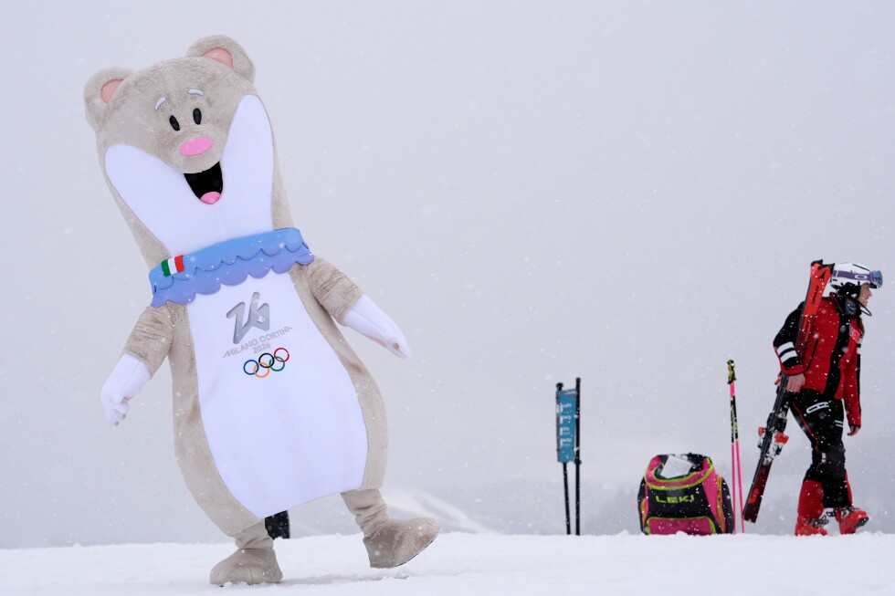 in-real-life,-the-olympic-mascot-is-a-weasel-like-animal-at-risk-because-of-climate-change
