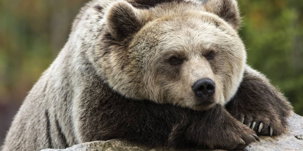 the-stock-market-is-too-confident-that’s-a-risk.