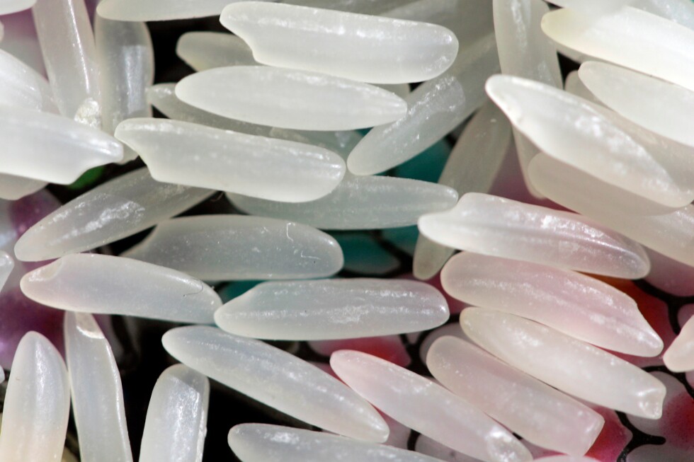 chill-out:-how-cooling-rice,-pasta,-and-potatoes-can-cut-some-cravings