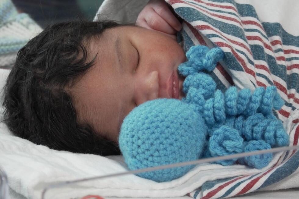 mother-crochets-cuddly-octopi-from-yarn-for-small-hands-in-detroit-nicu