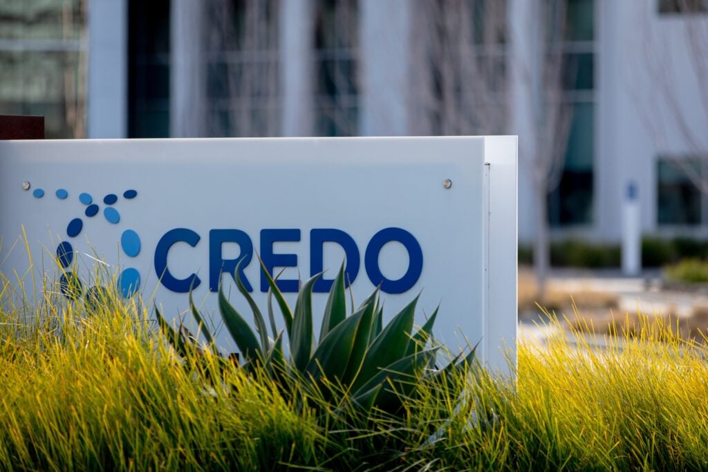 credo-technology-earnings-are-imminent;-these-most-accurate-analysts-revise-forecasts-ahead-of-earnings-c