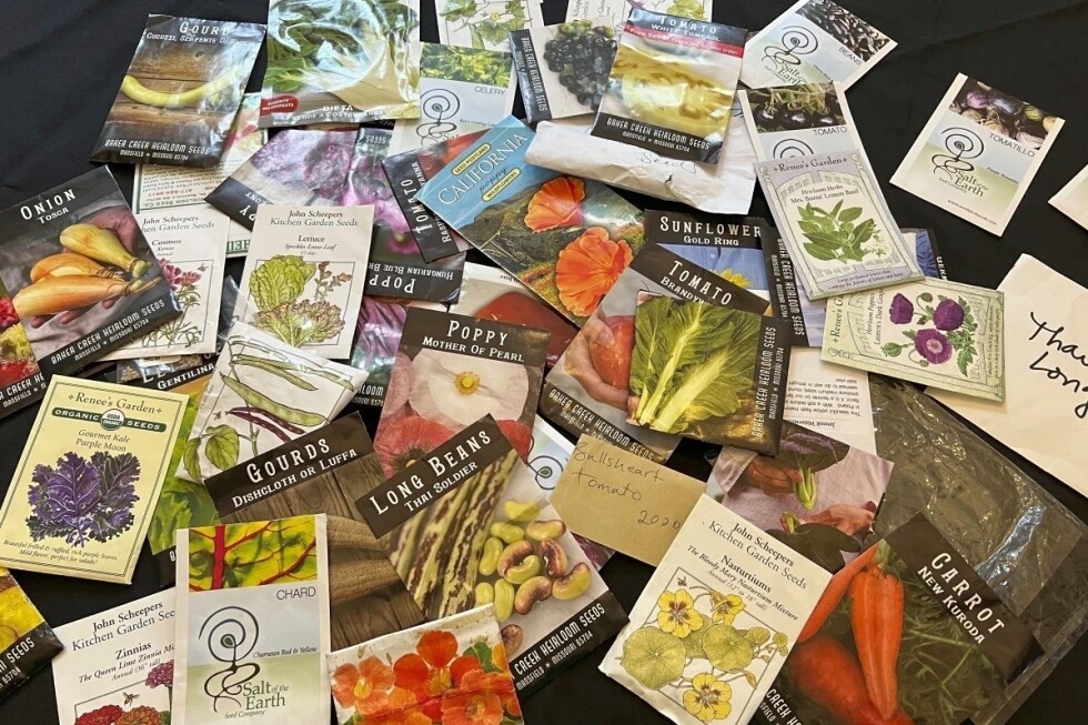 what-do-the-seed-starting-instructions-on-seed-packets-mean?
