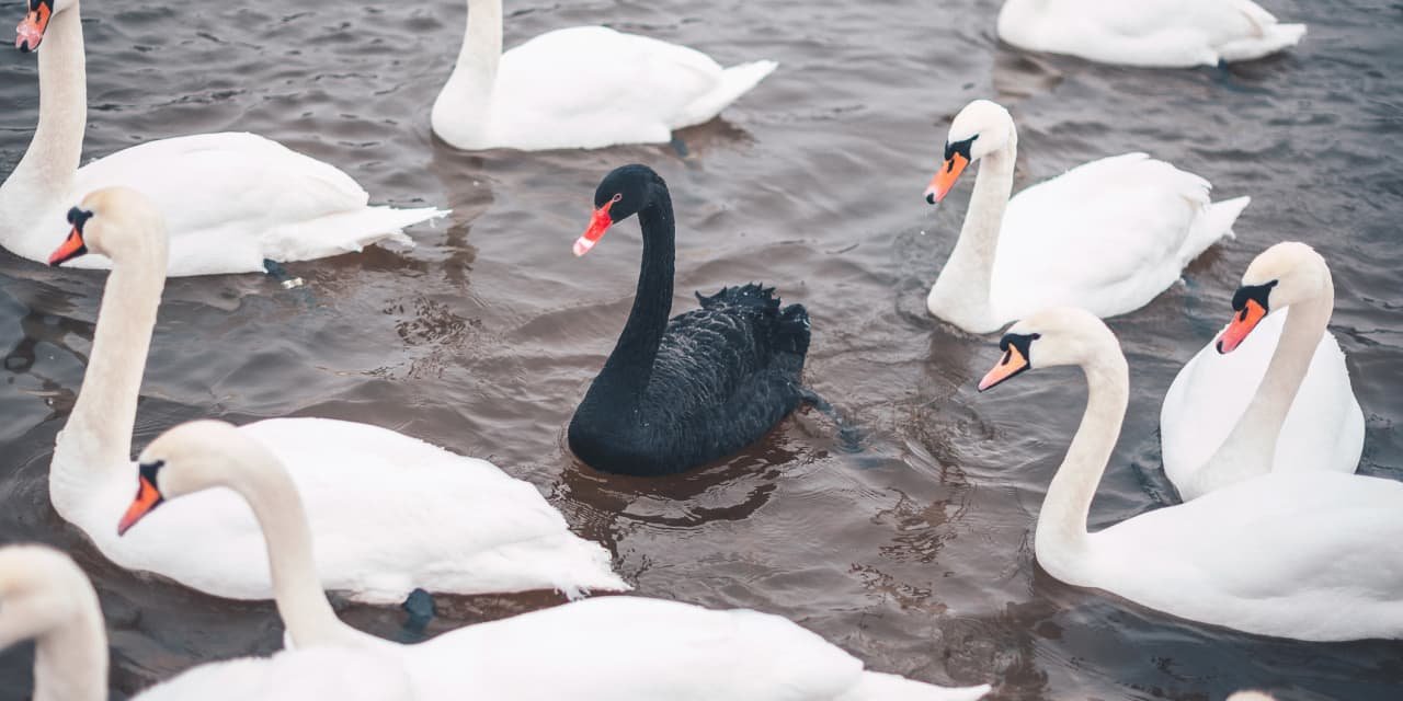 it’s-a-‘black-swan’-moment-in-oil-but-nowhere-else-the-stock-market-is-at-risk-of-a-20%-fall,-say-these-strategists.