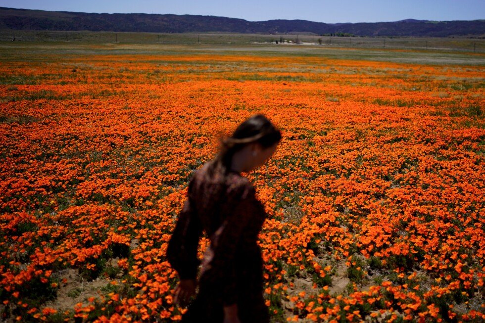 allergy-seasons-have-been-getting-worse,-but-there-are-things-you-can-do-to-protect-yourself