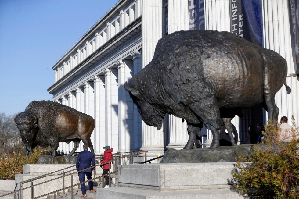 bronze-bison-statues-installed-outside-smithsonian-national-museum-of-natural-history