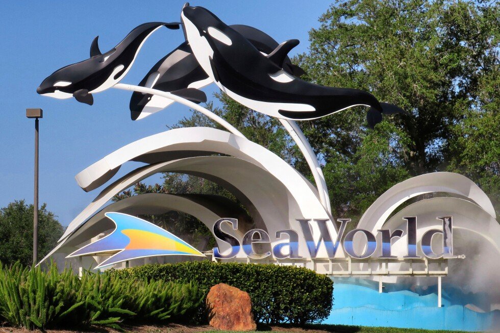 doj-sues-seaworld’s-parent-company-over-wheeled-walker-ban