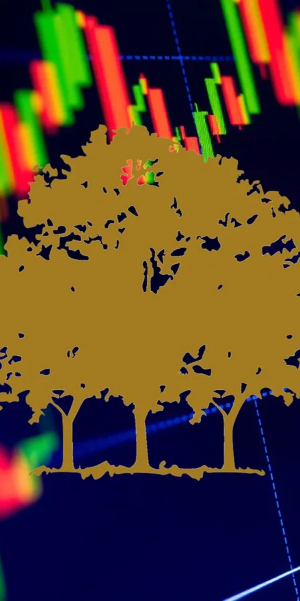 canopy-growth-charts-a-fresh-course-amid-leadership-and-analyst-updates