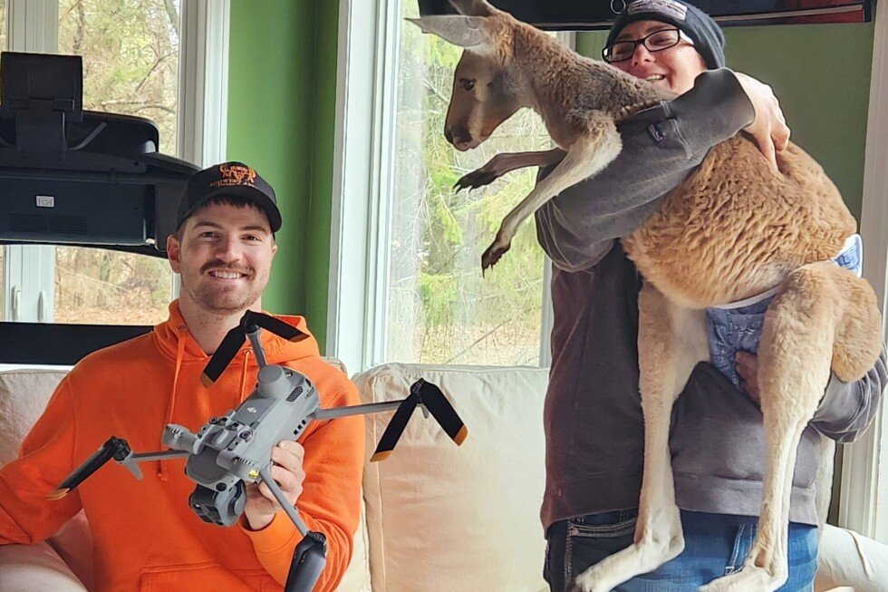 high-jumping-kangaroo-escapes-petting-zoo-and-roams-free-for-three-days