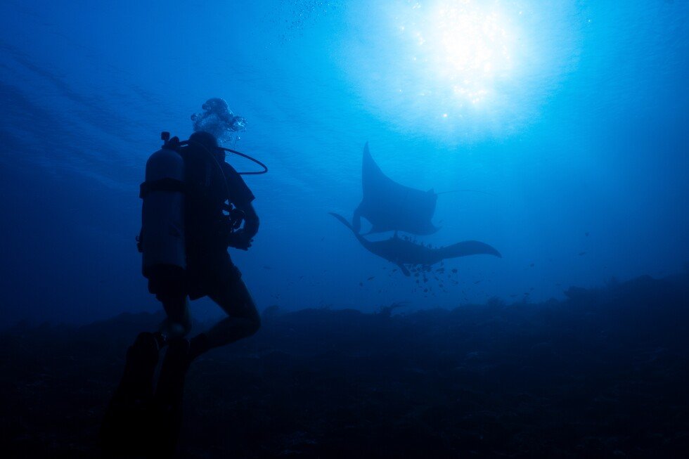 ocean-protections-clash-with-mining-pressure-in-indonesia’s-raja-ampat-ecosystems