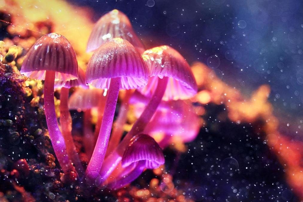 just-another-merger-monday:-8-key-items-shaping-the-stock-market