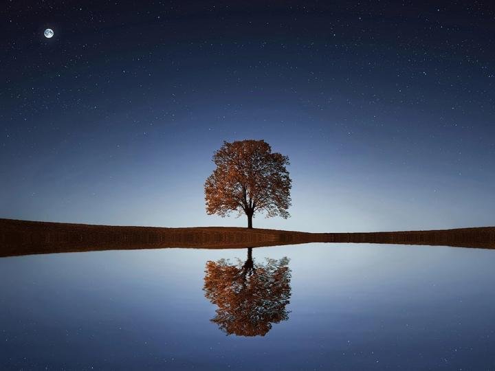 the-btc-price-is-less-volatile-than-south-korea’s-kospi-stock-index-right-now