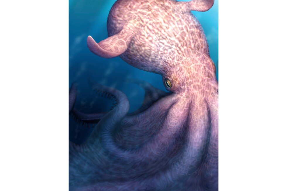 kraken-like-octopuses-may-have-been-top-predators-during-the-cretaceous