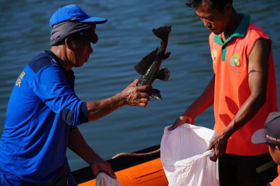 indonesia-removing-tons-of-‘janitor-fish’-from-capital