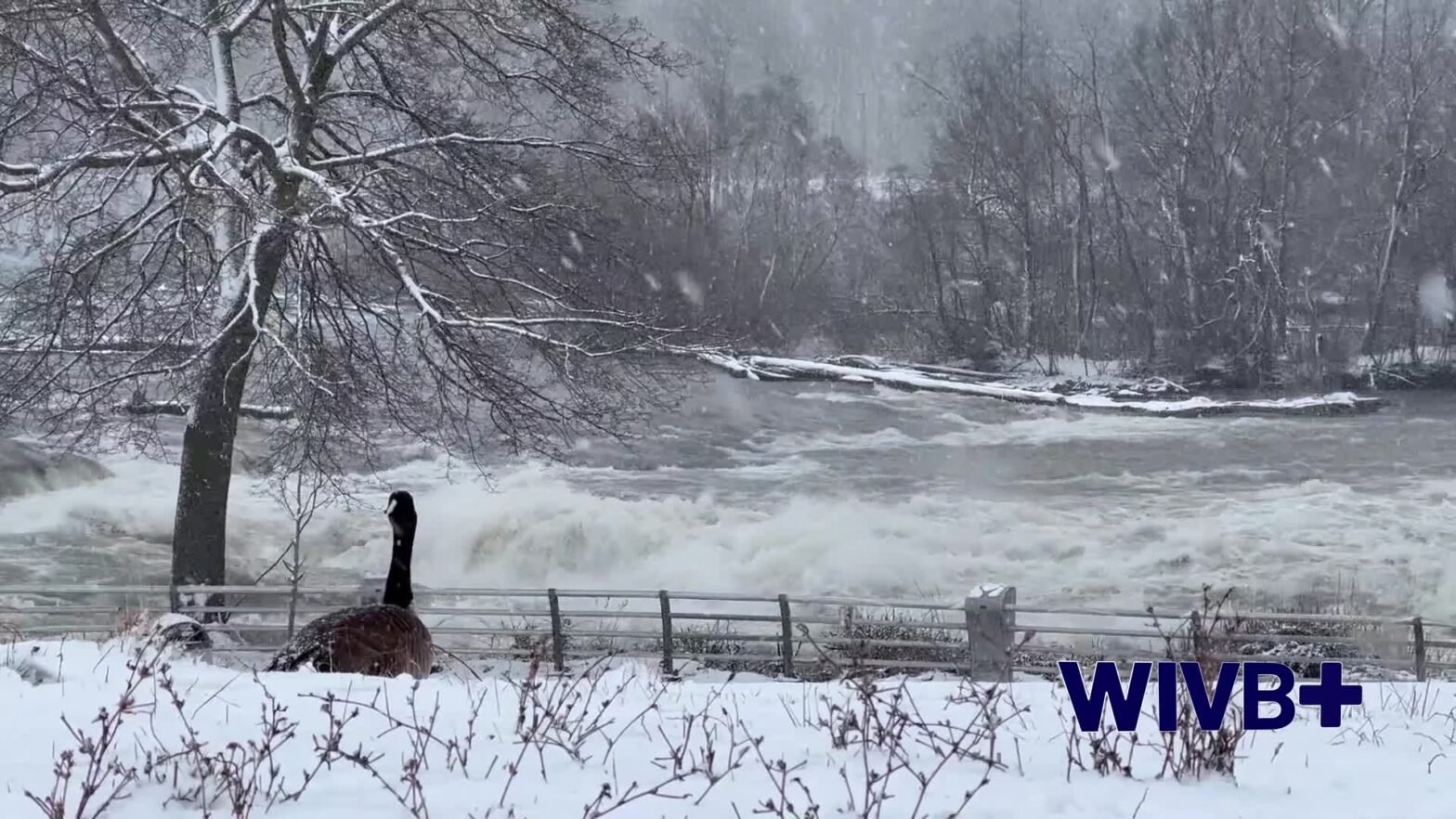 buffalo-brief:-junior-achievers-of-wny-stock-market-challenge