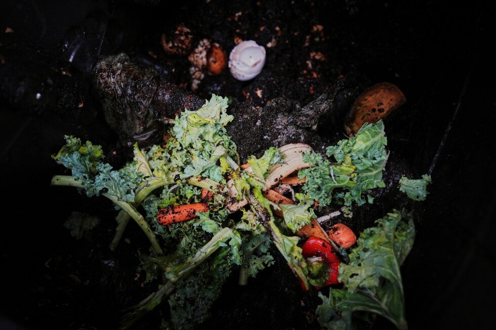 composting:-how-to-do-it-and-why-it’s-worth-it