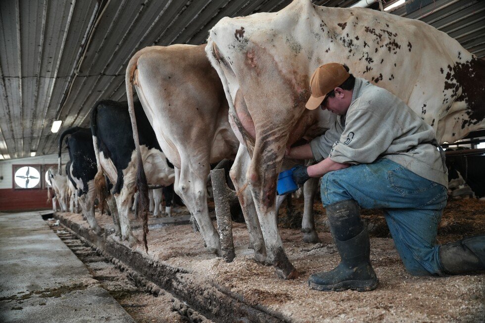 raw-milk-backers-push-for-wider-availability-despite-outbreak-risks