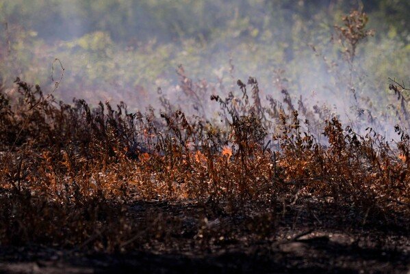 A fire burns as the Brantley Highway 82 fire burns, Thursday, April 23, 2026, near Nahunta, Ga. (AP Photo/Mike Stewart)