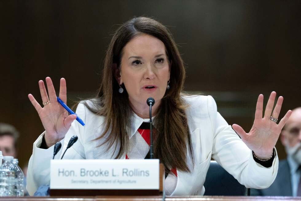 why-4.3-million-people-no-longer-receive-food-stamps