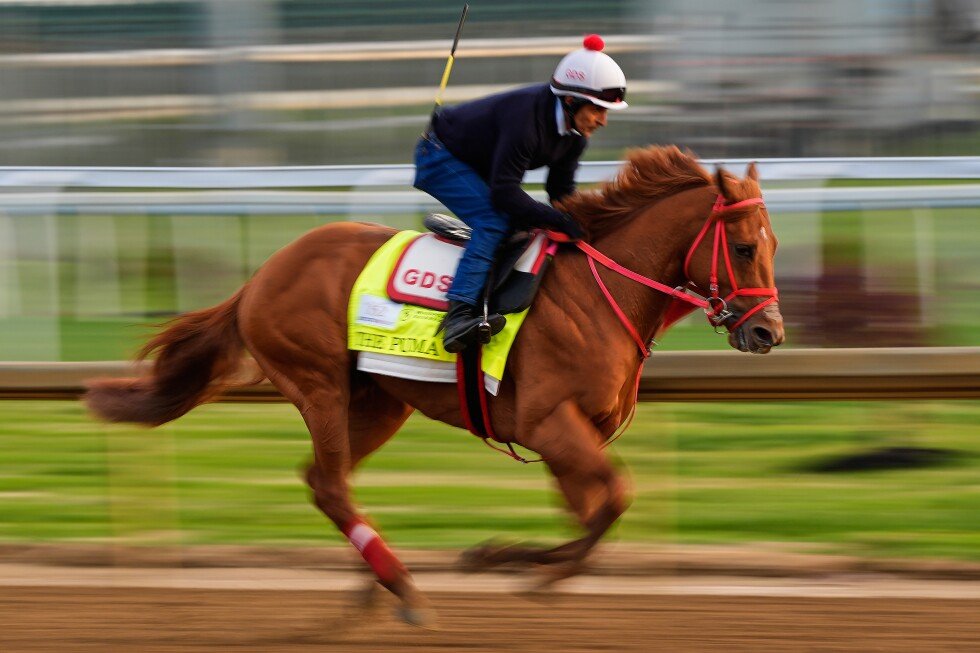 kentucky-derby-is-down-to-19-horses-after-the-puma-gets-scratched