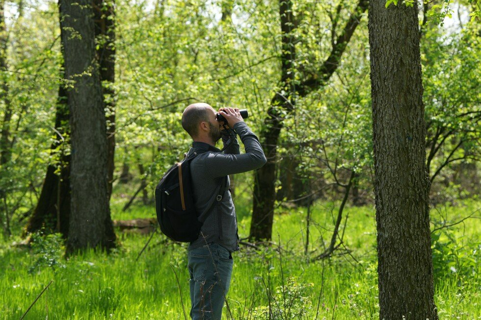 serbian-bird-watching-group-buys-woodland-to-preserve-the-habitat