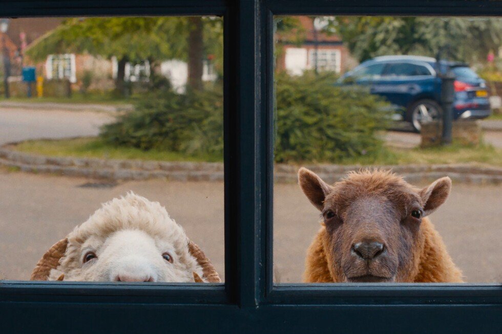 ‘sheep-detectives’-review:-hugh-jackman-in-an-ewe-dunit