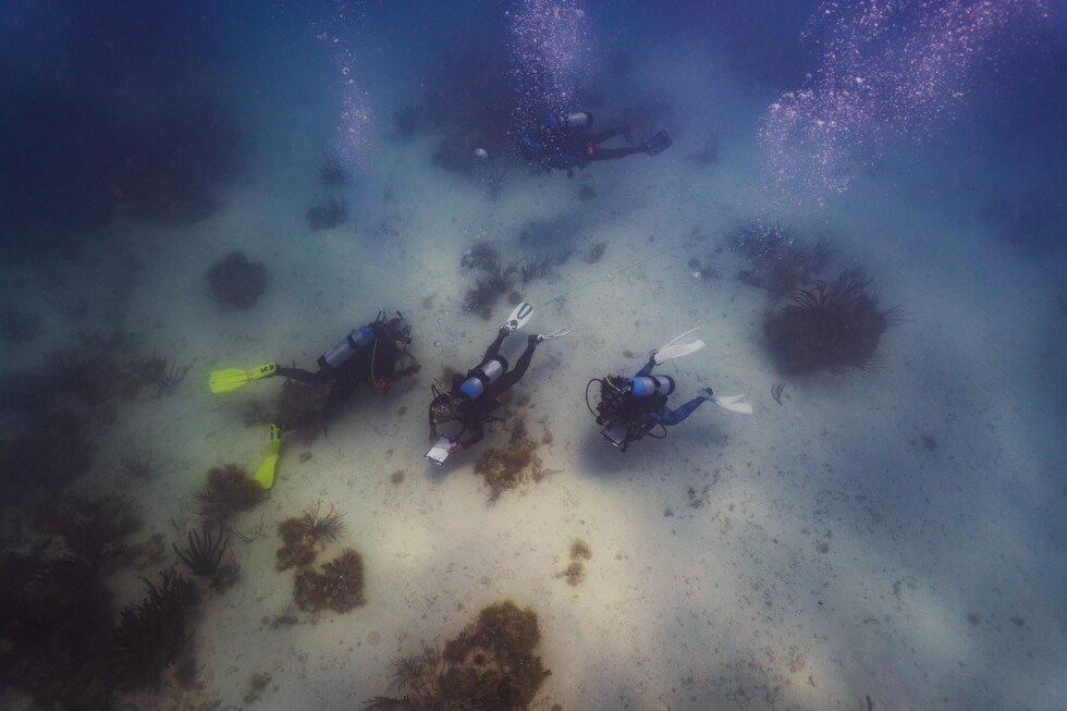 black-divers-honor-history-at-florida-site-of-sunken-slave-ship