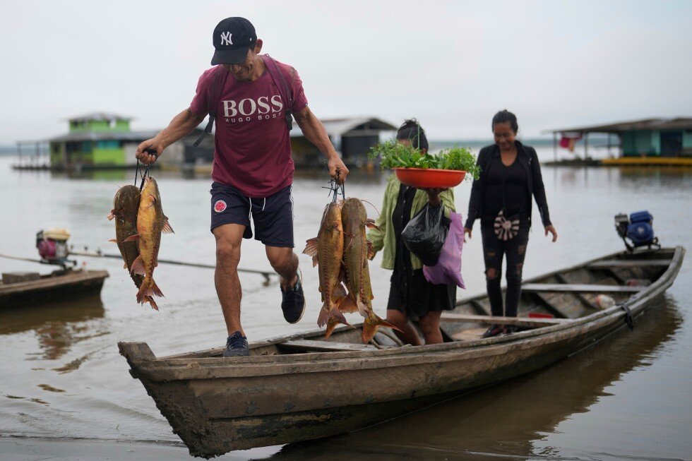 fish-are-at-risk-as-warming-world-chokes-off-oxygen-in-rivers