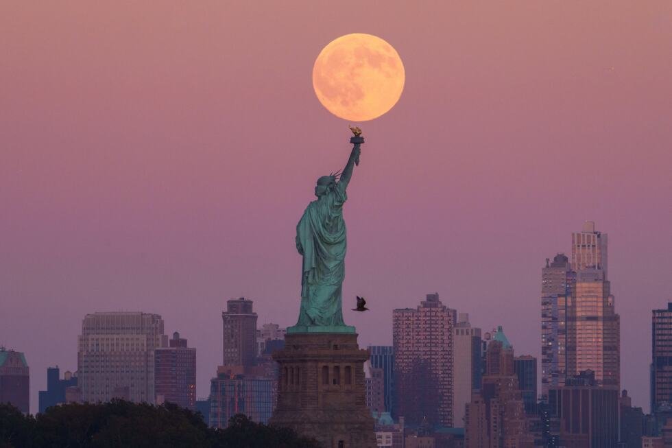 new-york-set-to-host-8-world-cup-games,-including-final,-in-new-jersey