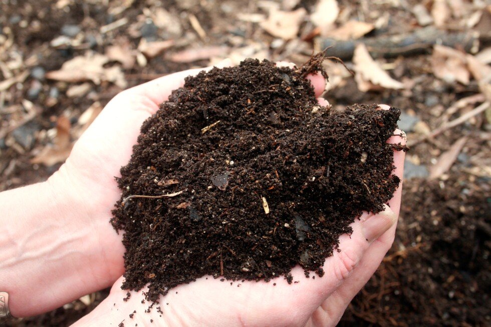 right-ways-and-the-wrong-ways-to-use-mulch-in-the-garden