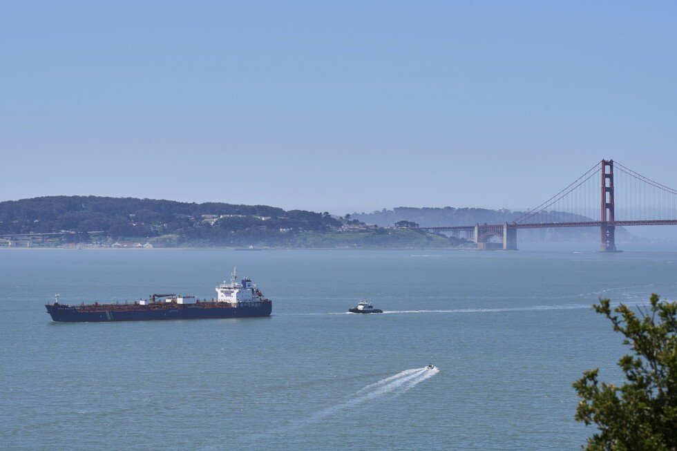 california-races-to-protect-whales-as-deaths-spike