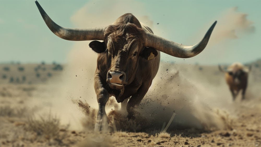 after-market-rebound,-tesla,-5-ai-stocks-are-near-buy-points