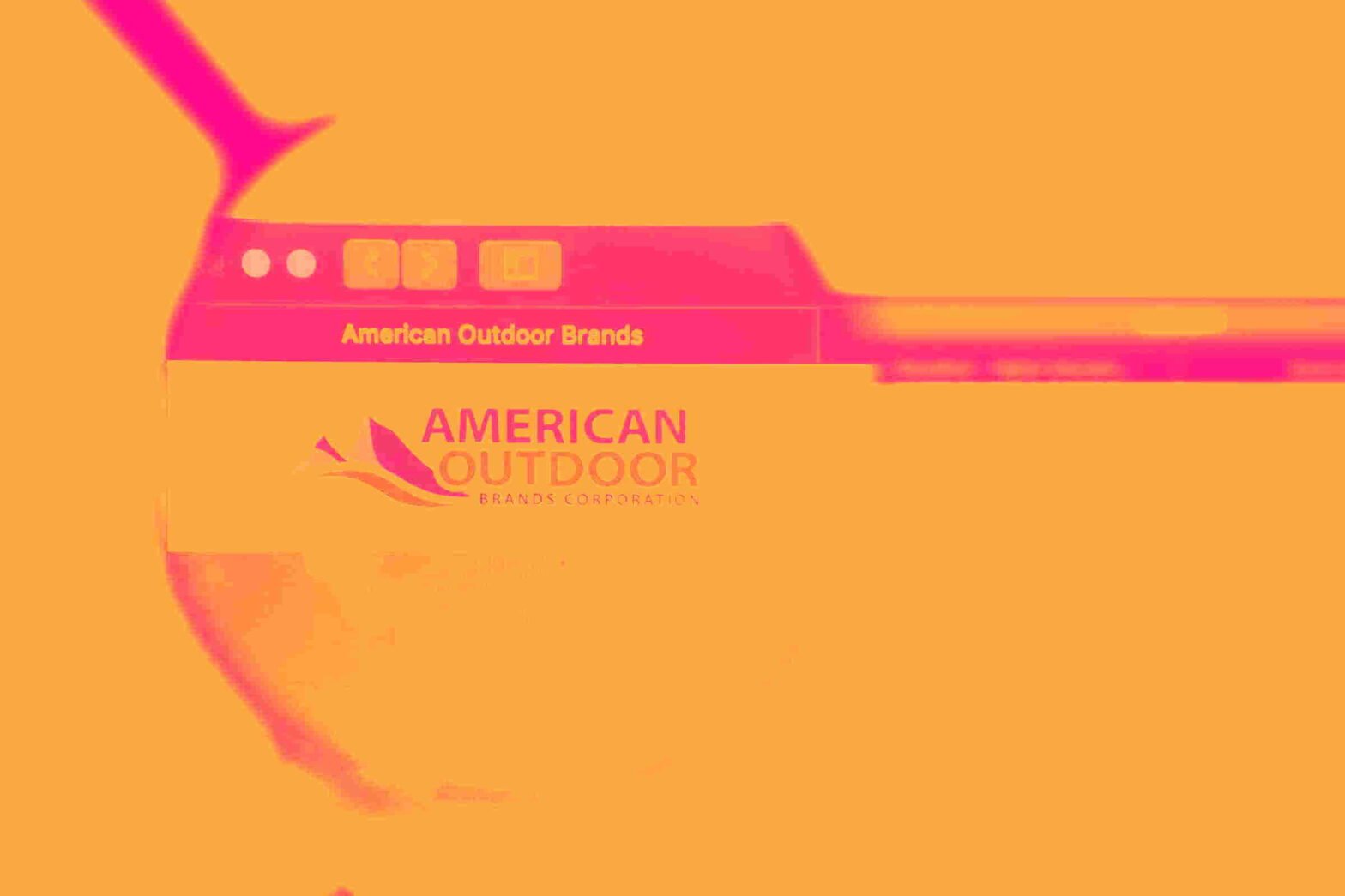 american-outdoor-brands-(aout):-buy,-sell,-or-hold-post-q4-earnings?